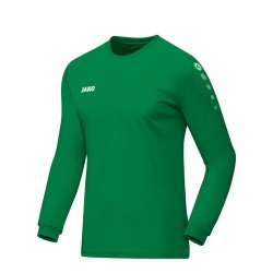 Trikot Team LA sportgrün
